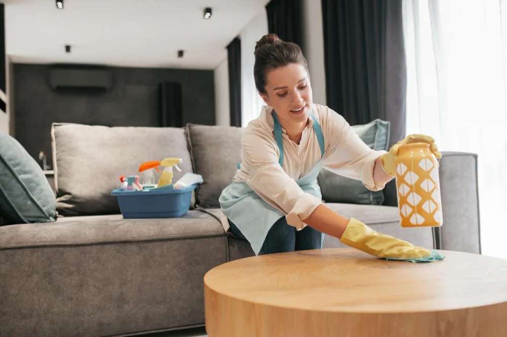 Domestic Cleaning